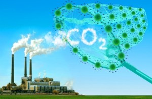 Huella de carbono: hacia una gerencia verde