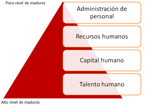 Gestión del talento humano, clave en empresas exitosas. ¿Qué es un proceso en una empresa?