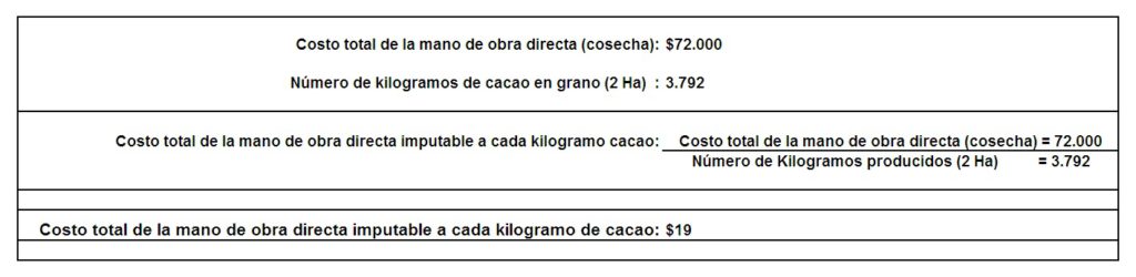 Costos de producción del cacao ¿sabes cómo calcularlos? 1