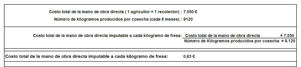 Costos de producción de las fresas ¿Cómo calcularlos? 1