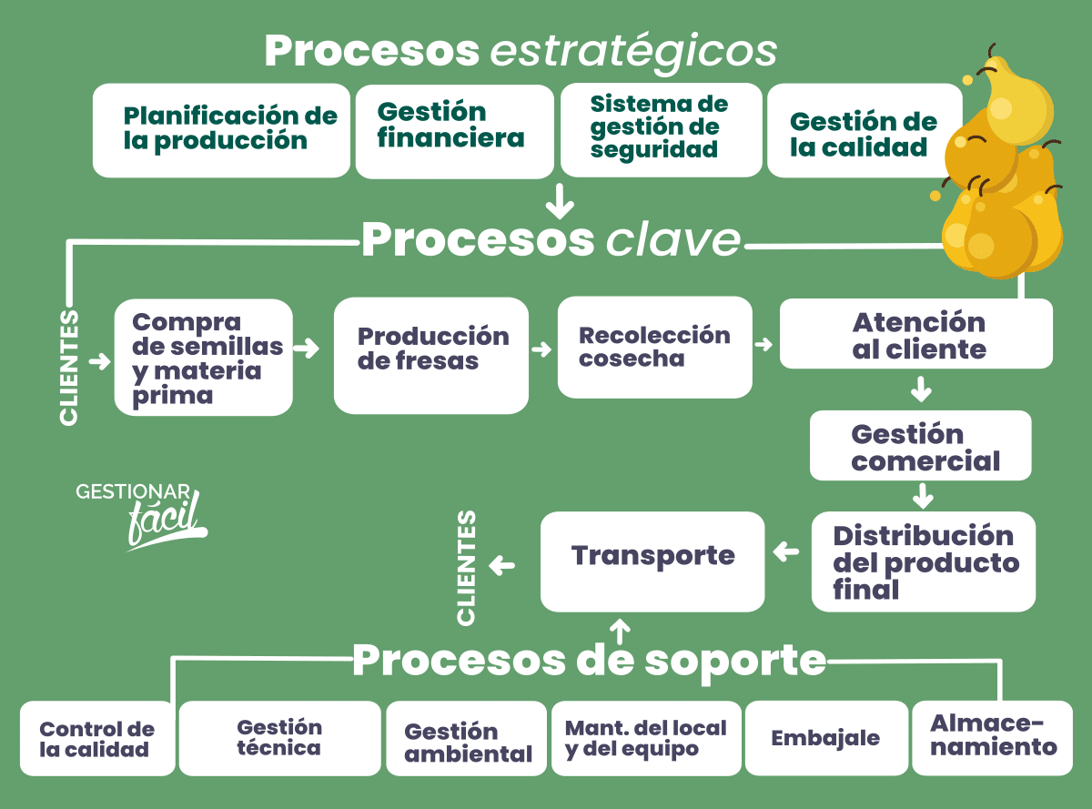 Procesos claves. de apoyo y estratégicos de una comercializadora de frutas