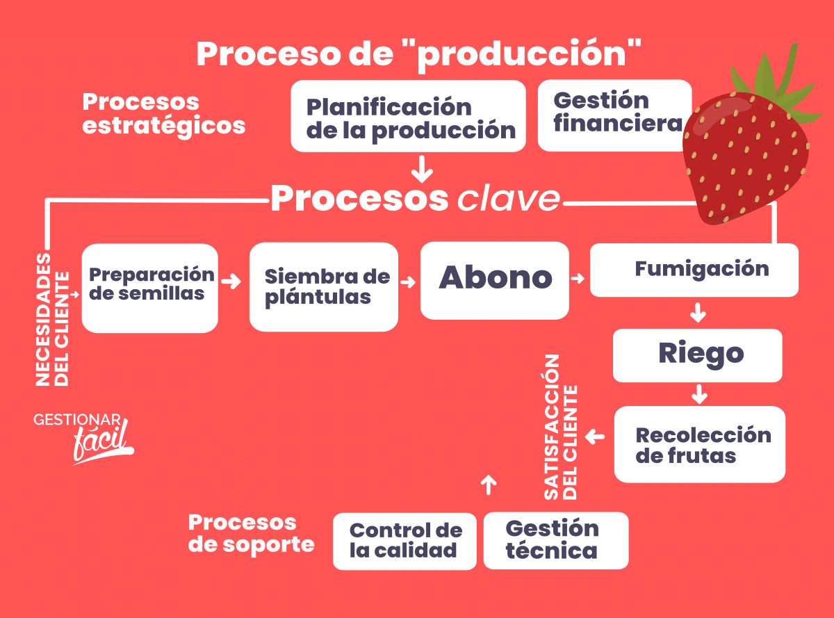 Ejemplo del mapa de procesos con detalles del procesos de "producción de fresas"