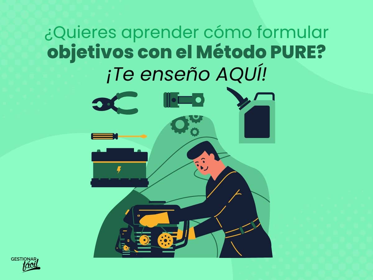 Objetivos PURE en una empresa de repuestos de autos