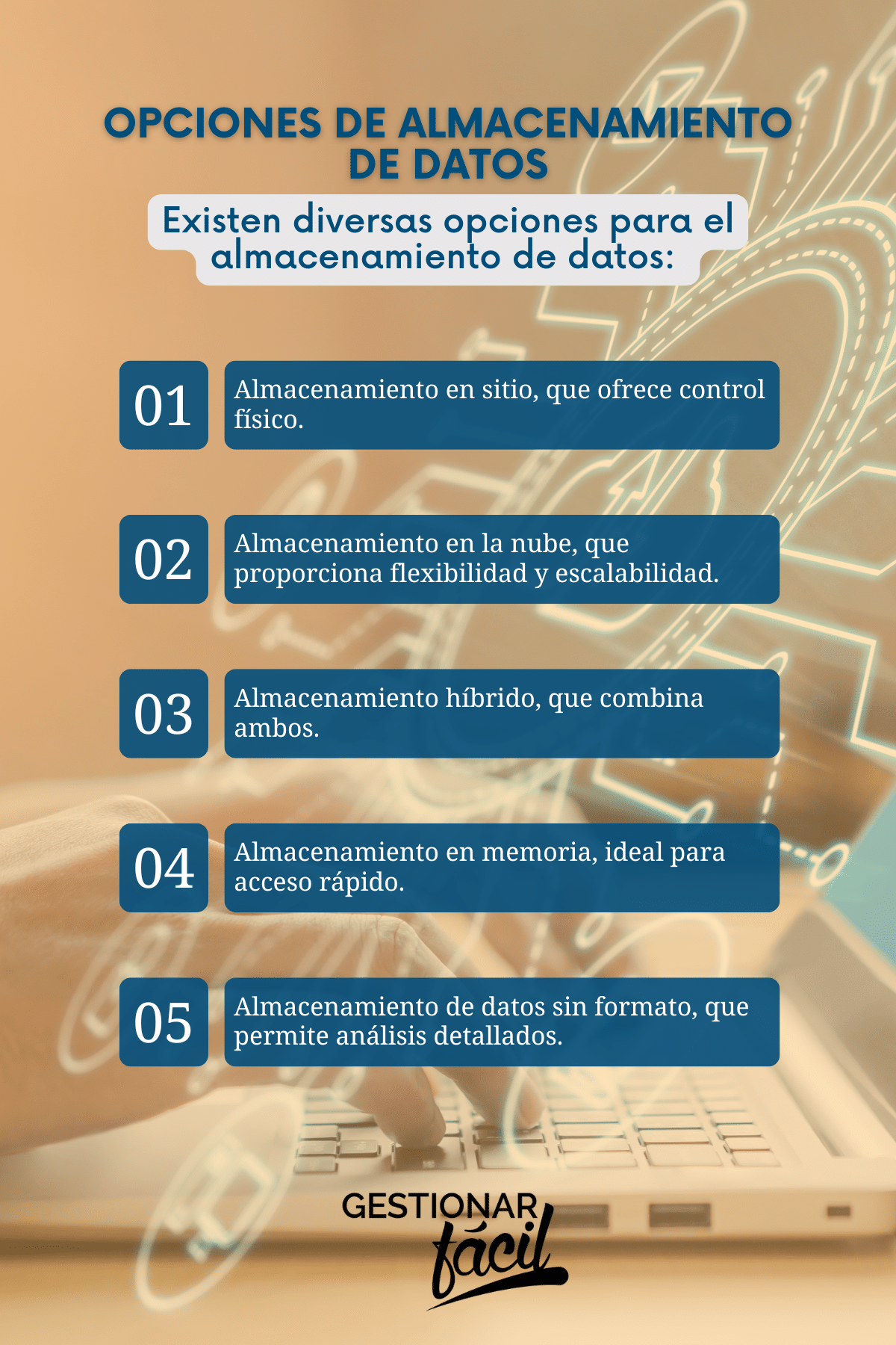 Almacenamiento de datos: Eligiendo una opción para tu negocio